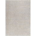 Janeth Traditional Sterling Grey Area Rug