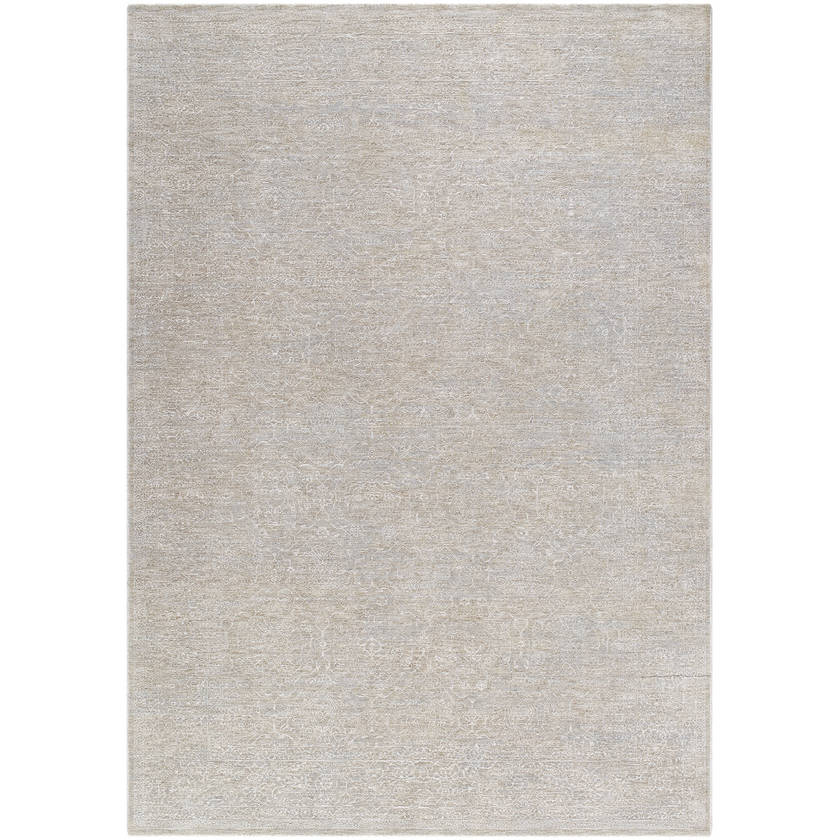 Janeth Traditional Sterling Grey Area Rug